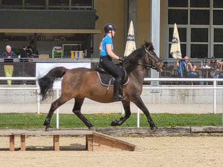 Huzt 25 J. Simonlehner